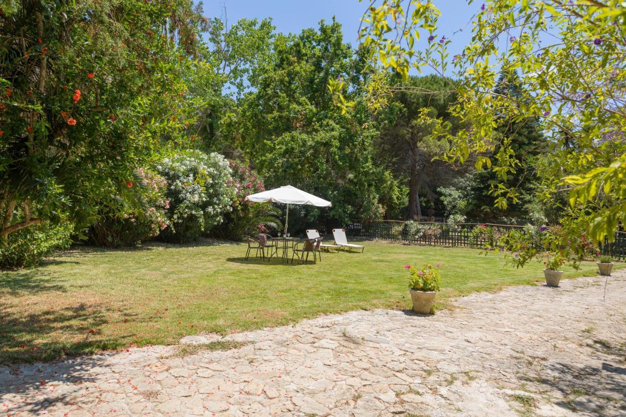 Jianni'S Villa - Stone Villa In The Greenery!! Vasilikí Exteriér fotografie